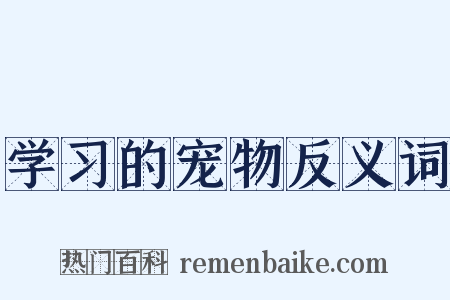 学习的宠物反义词是什么意思的图片